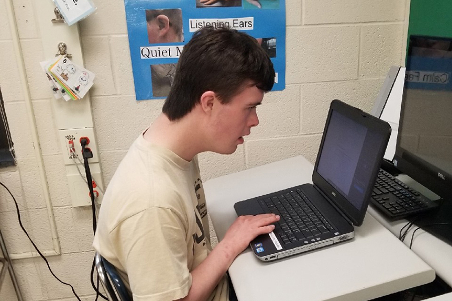 Living Resources Member Using a Laptop